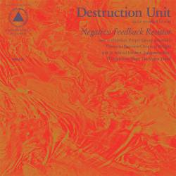 Destruction Unit : Negative Feedback Resistor